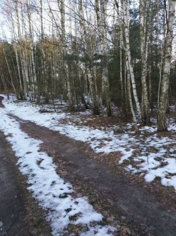 Działka leśna Gniewoszów. Zdjęcie 1