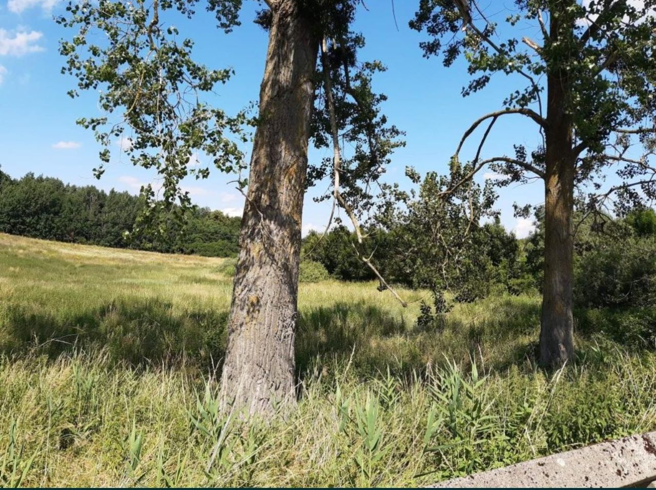 Działka budowlana Morany. Zdjęcie 4