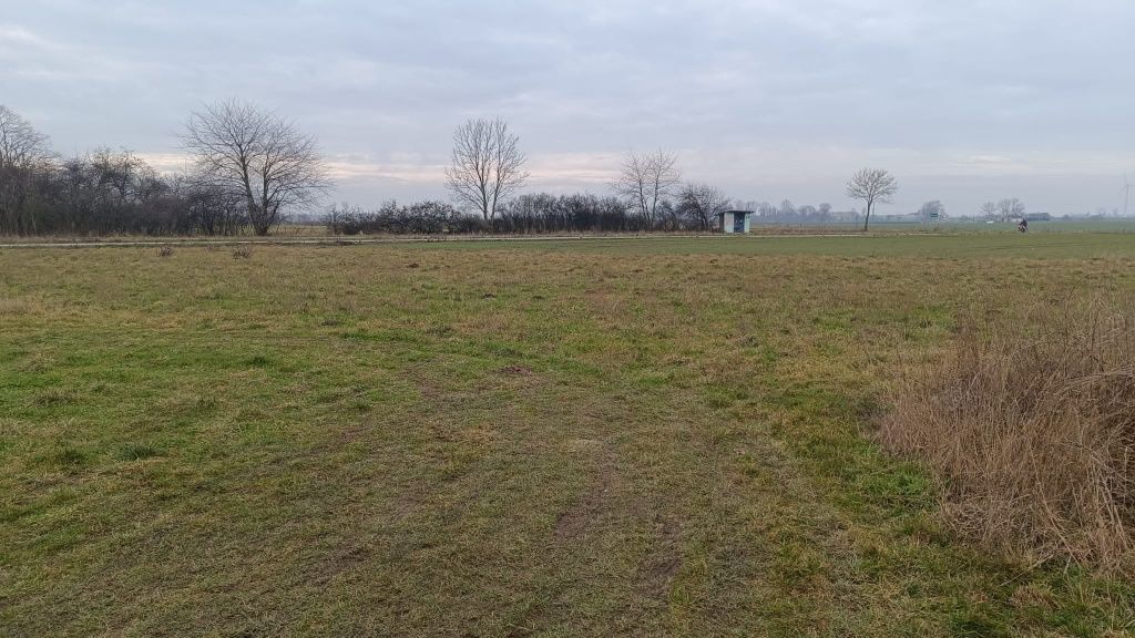 dom wolnostojący Wiśniewa-Kolonia. Zdjęcie 7