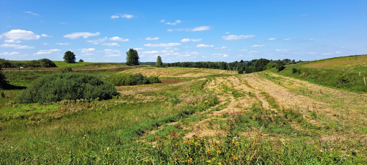 Działka rolna Cerkiewnik. Zdjęcie 7