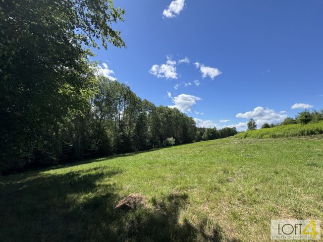 Działka budowlana Paleśnica. Zdjęcie 5