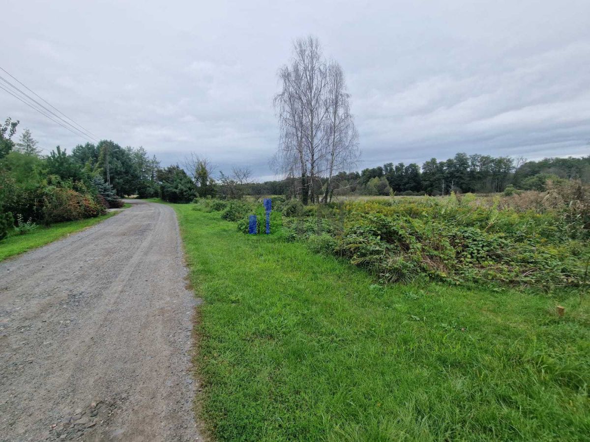 Działka budowlana Nowy Dwór. Zdjęcie 2