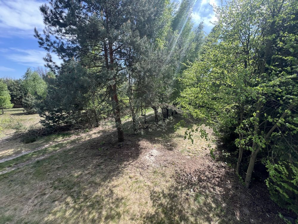 Działka Krzepin. Zdjęcie 6