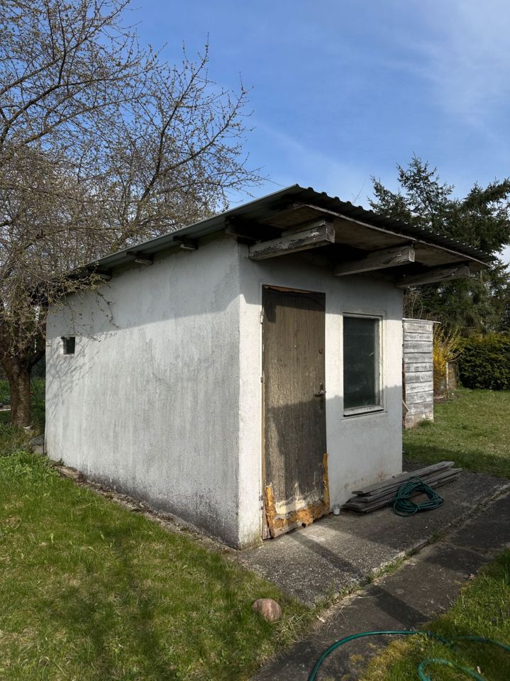 Działka rod Lubin. Zdjęcie 4