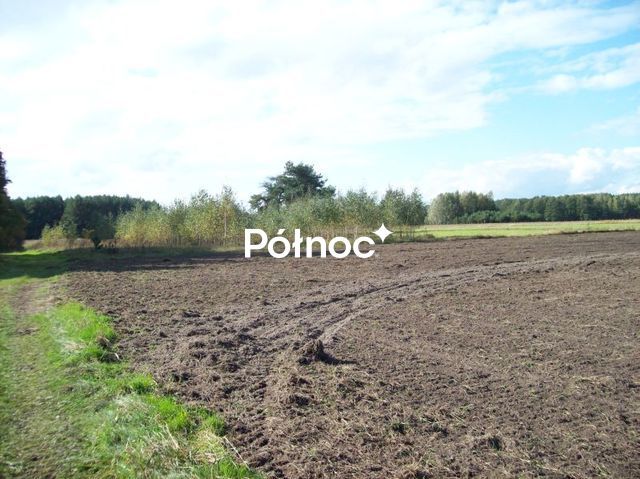 Działka rolna Janowicze. Zdjęcie 5