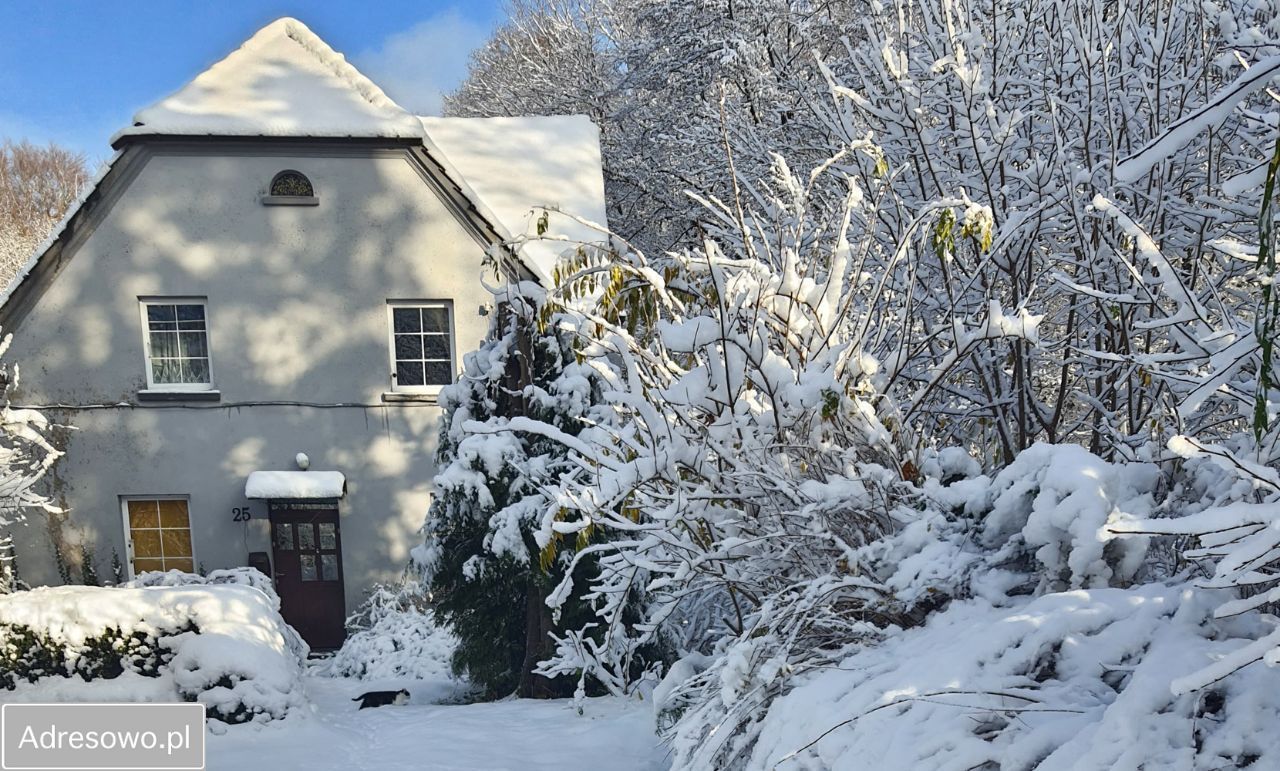 dom wolnostojący, 5 pokoi Bychowo. Zdjęcie 3
