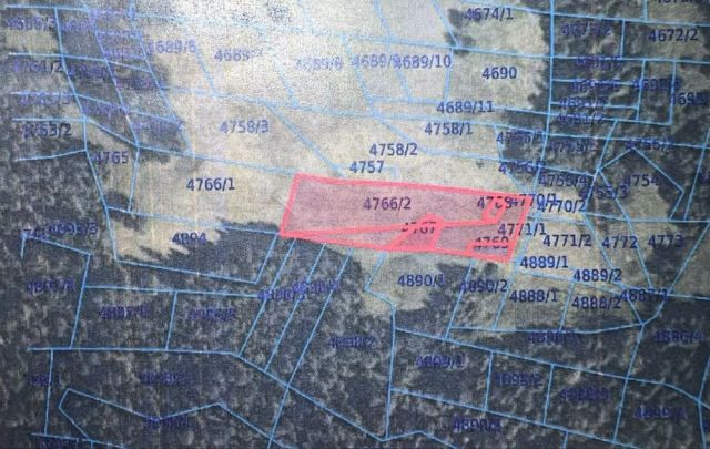 Działka rolna Sierockie. Zdjęcie 1