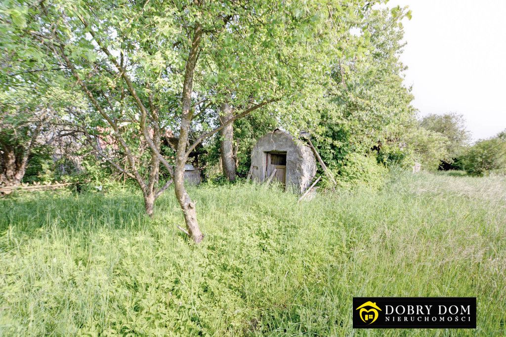 dom wolnostojący, 3 pokoje Białowieża. Zdjęcie 3