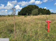 Działka budowlana Sadowie. Zdjęcie 2