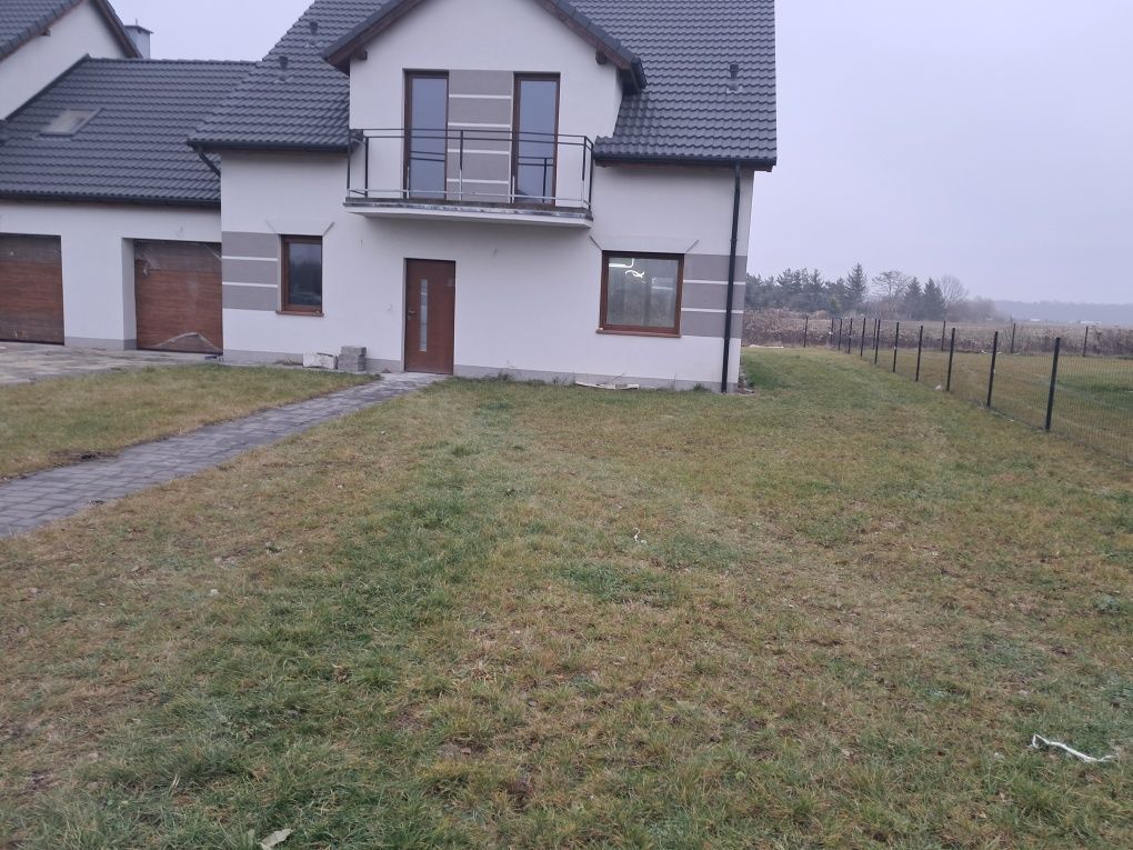 bliźniak Długołęka