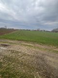 Działka rolna Koniaczów. Zdjęcie 2