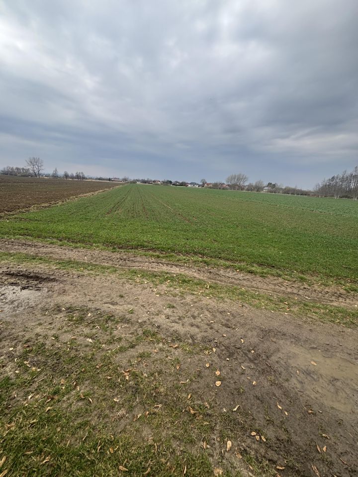 Działka rolna Koniaczów. Zdjęcie 3