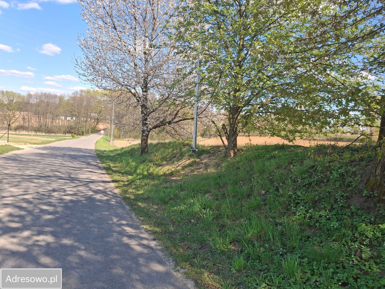 Działka budowlana Motycz-Józefin. Zdjęcie 3