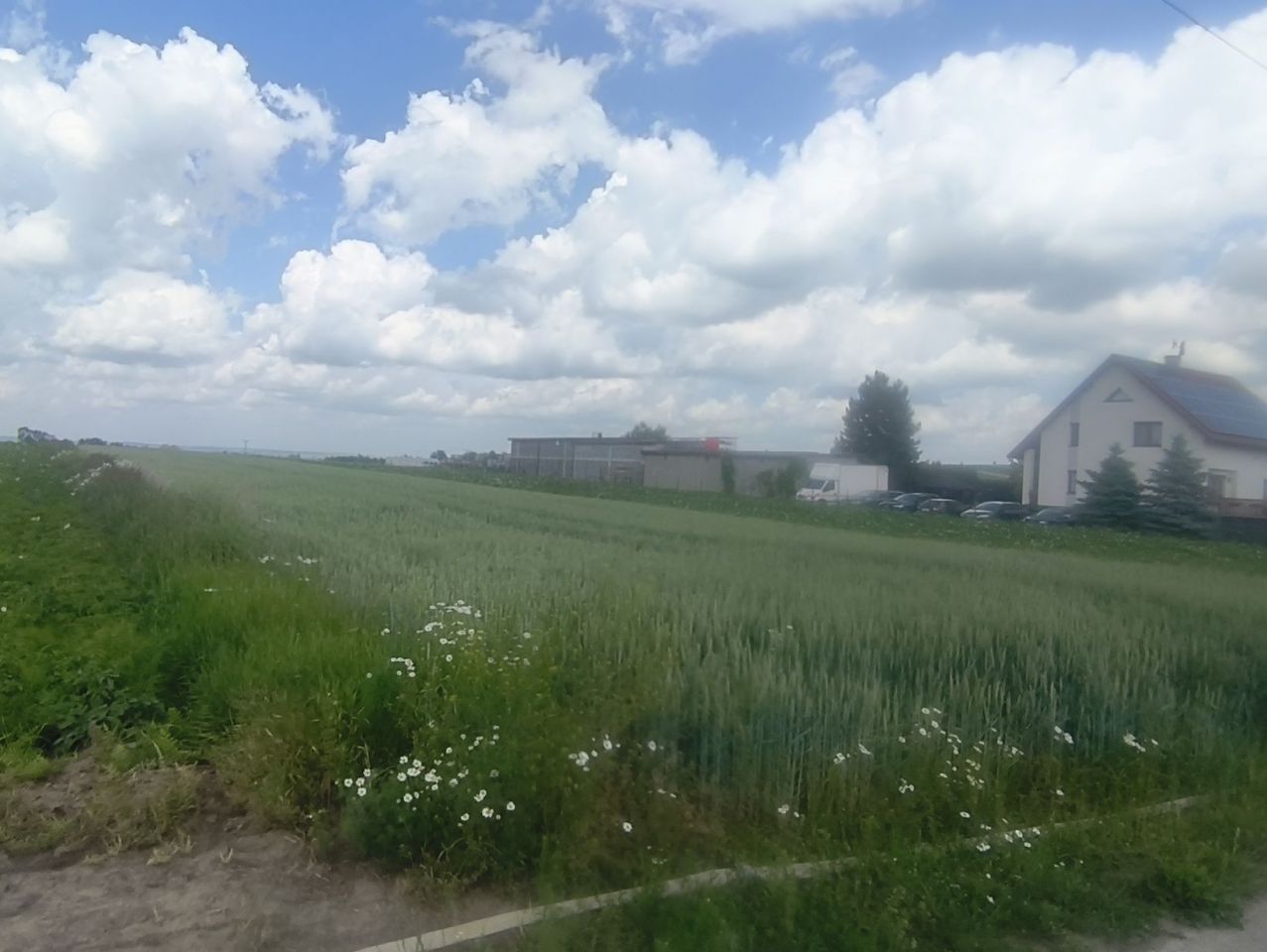 Działka rolno-budowlana Polekarcice. Zdjęcie 6
