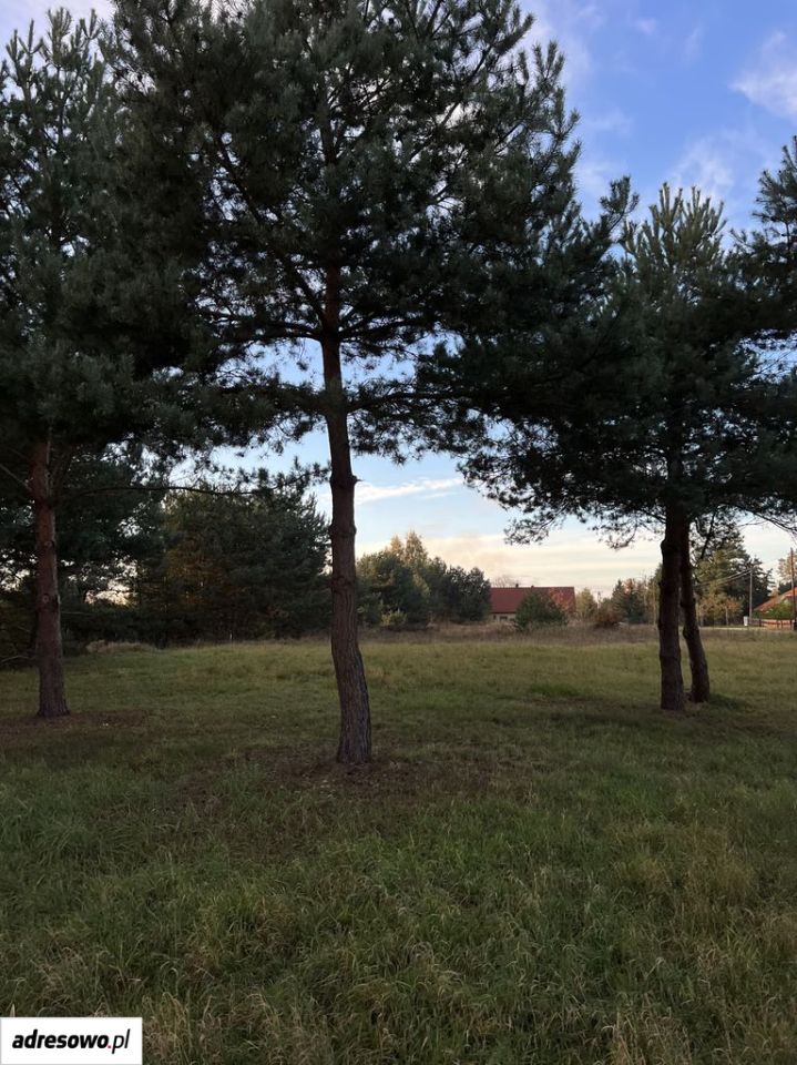 Działka budowlana Bąków. Zdjęcie 6