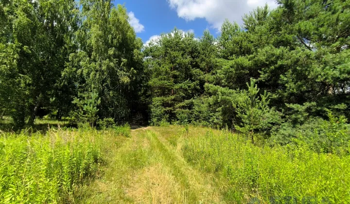 Działka rolna Wojcieszyn, ul. Trakt Królewski