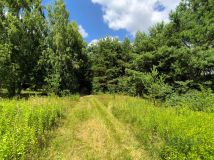 Działka rolna Wojcieszyn, ul. Trakt Królewski