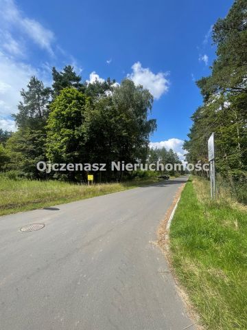 Działka leśna Toporzysko. Zdjęcie 2