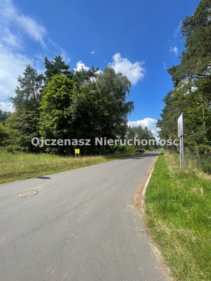 Działka leśna Toporzysko. Zdjęcie 2