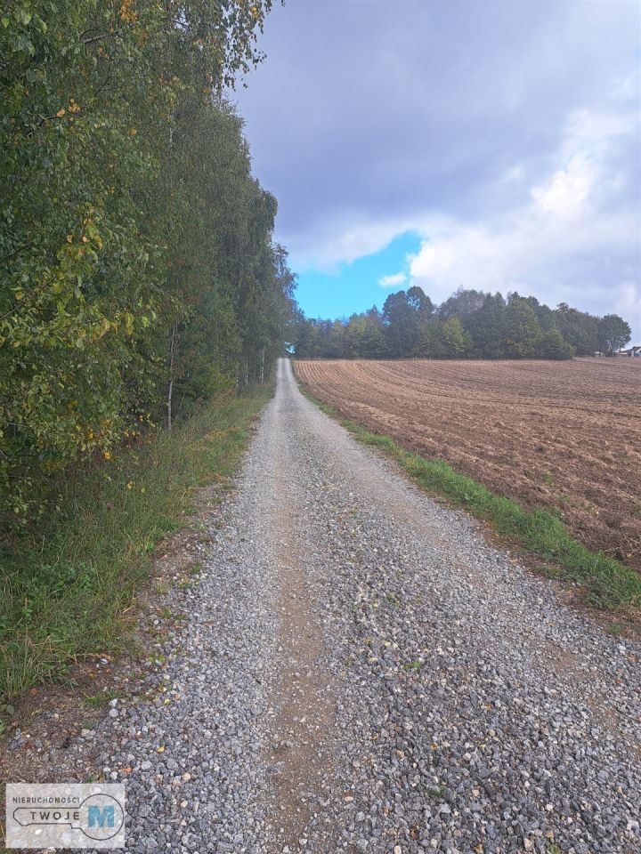 Działka siedliskowa Sędek. Zdjęcie 8