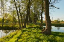 Działka siedliskowa Aleksandrów. Zdjęcie 1