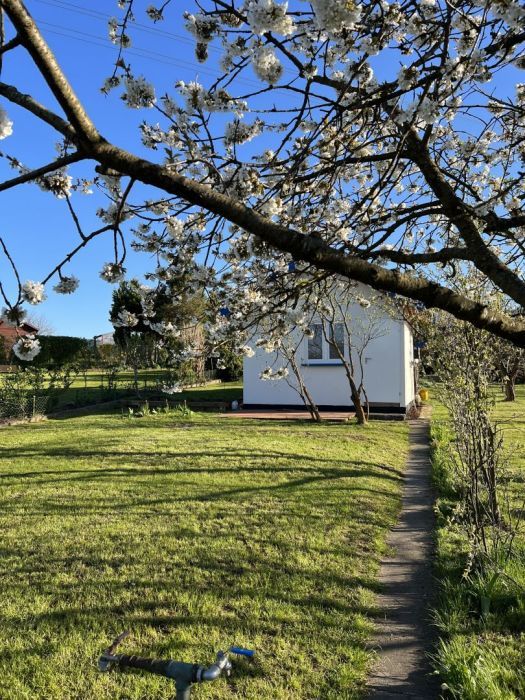 Działka rod Gdańsk Kokoszki, ul. Nowatorów. Zdjęcie 12