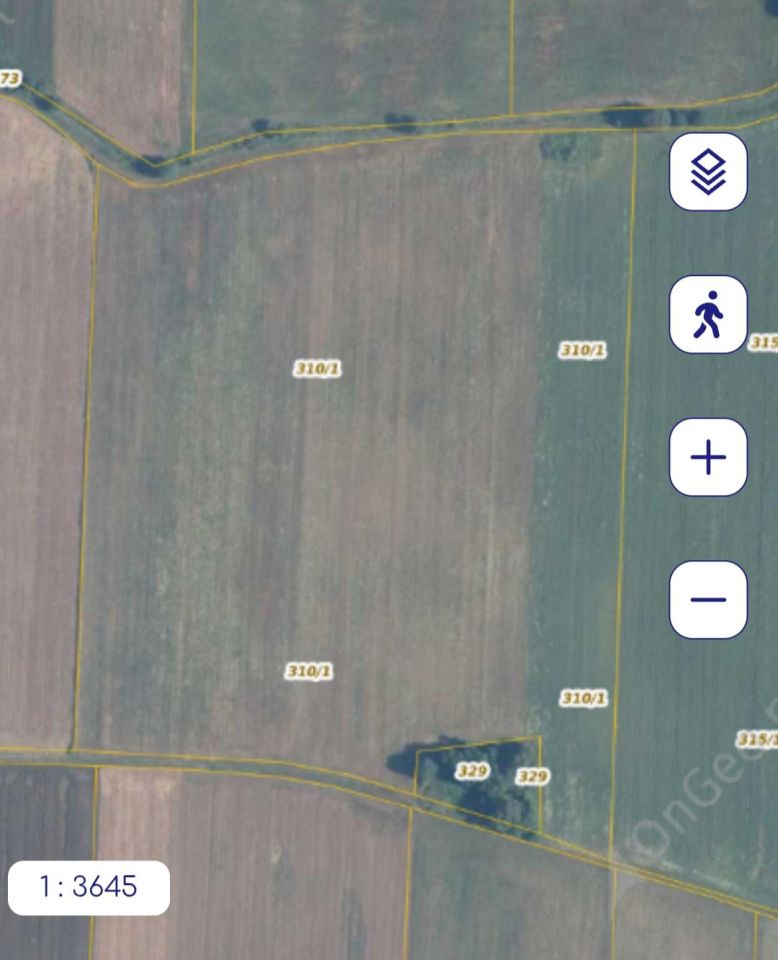 Działka rolna Rusinowo. Zdjęcie 2