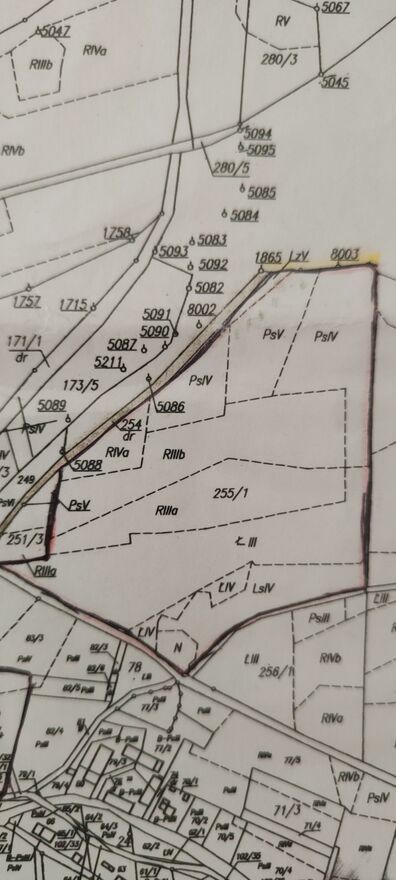 Działka rolna Skorzynice. Zdjęcie 3