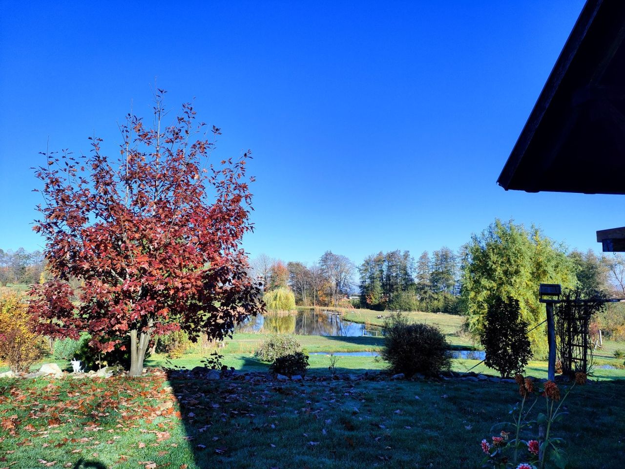 Działka rolno-budowlana Dzierżoniów. Zdjęcie 4