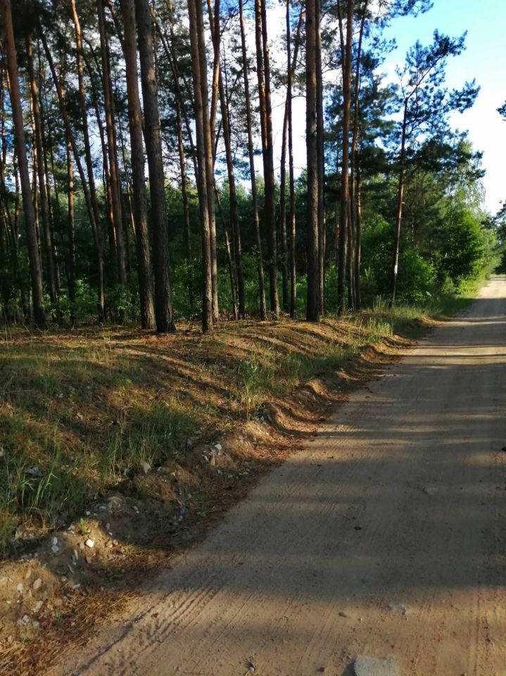 Działka rekreacyjna Gutarzewo. Zdjęcie 2