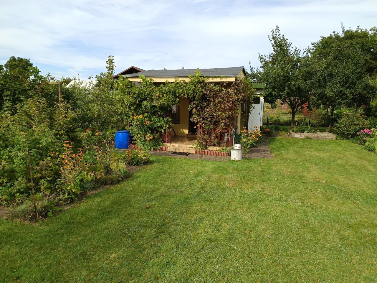 Działka rod Koszalin, ul. Wojska Polskiego