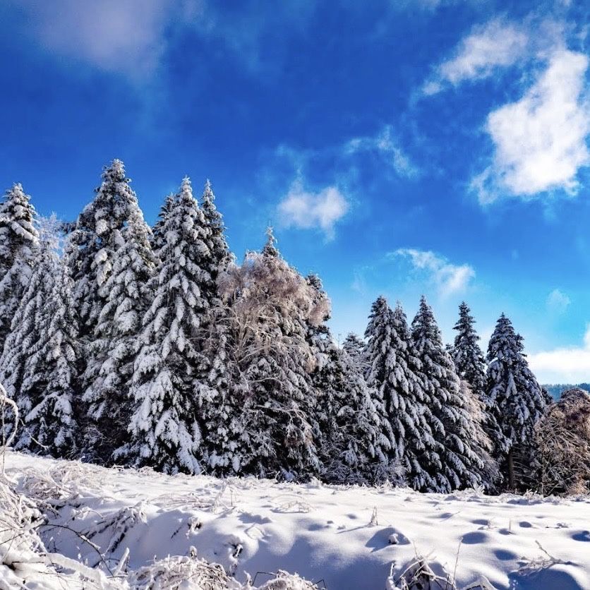 Działka budowlana Żłobek. Zdjęcie 6