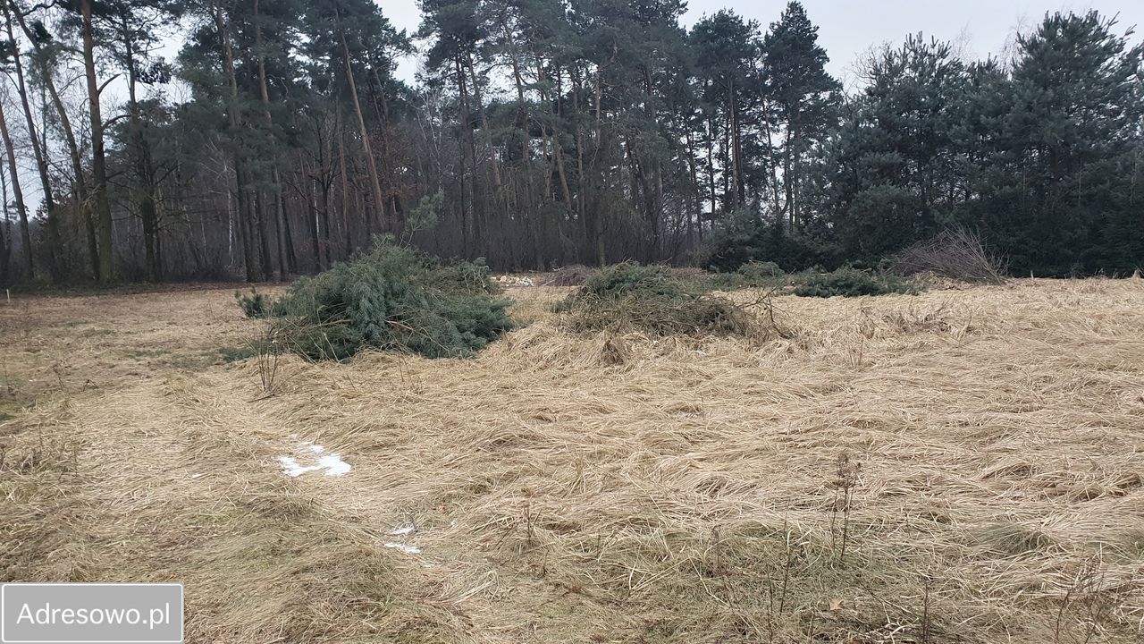 Działka budowlana Topola Wielka, ul. Długa. Zdjęcie 7