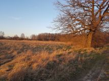 Działka inwestycyjna Lutynia. Zdjęcie 2