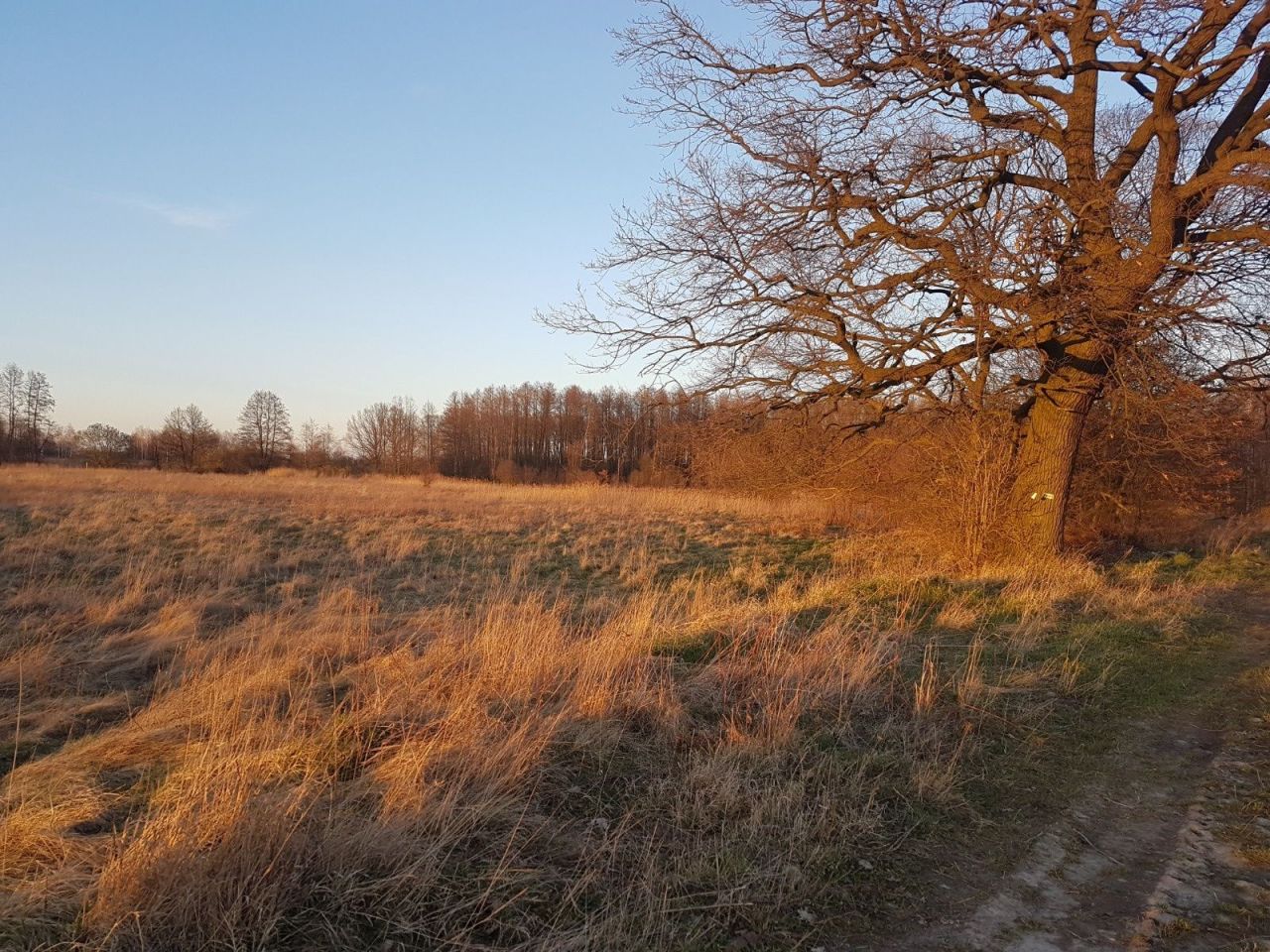 Działka inwestycyjna Lutynia. Zdjęcie 3