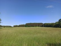 Działka siedliskowa Piaski. Zdjęcie 4