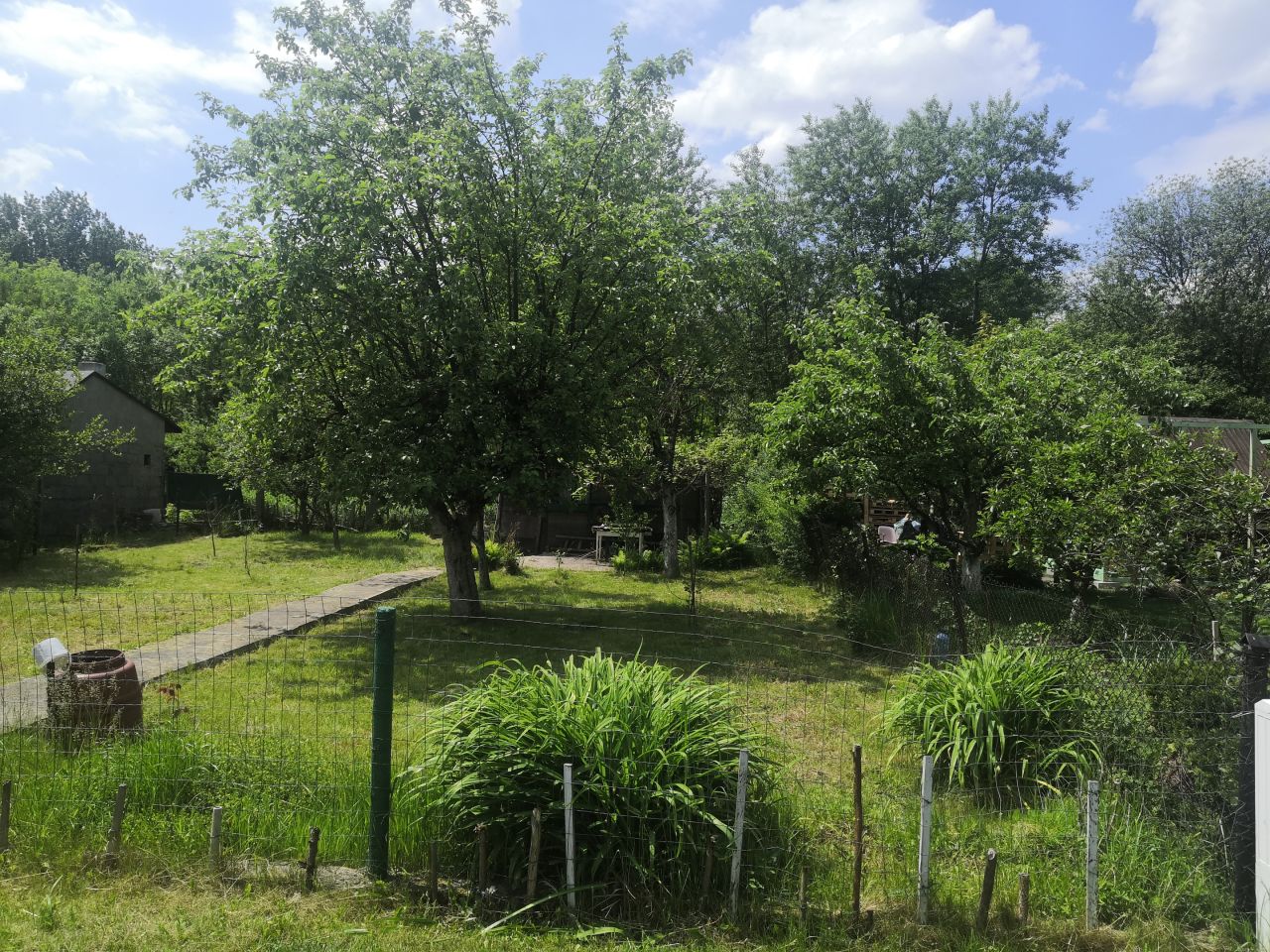 Działka rod Zabrze Centrum, ul. Opawska. Zdjęcie 3