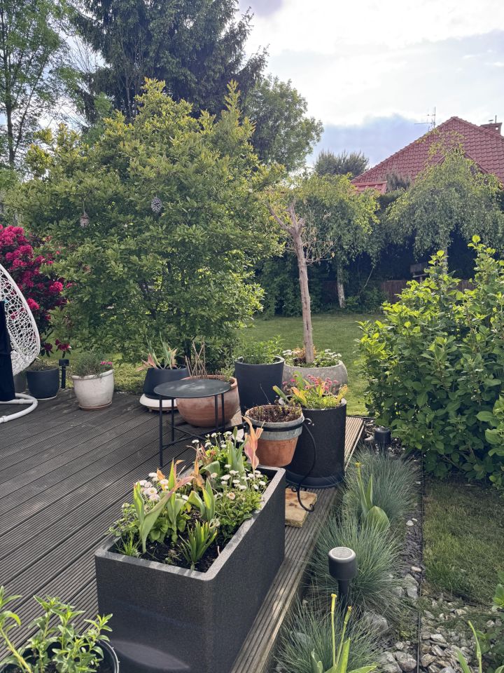 dom wolnostojący, 5 pokoi Pielgrzymowice, ul. Przymiarki. Zdjęcie 19