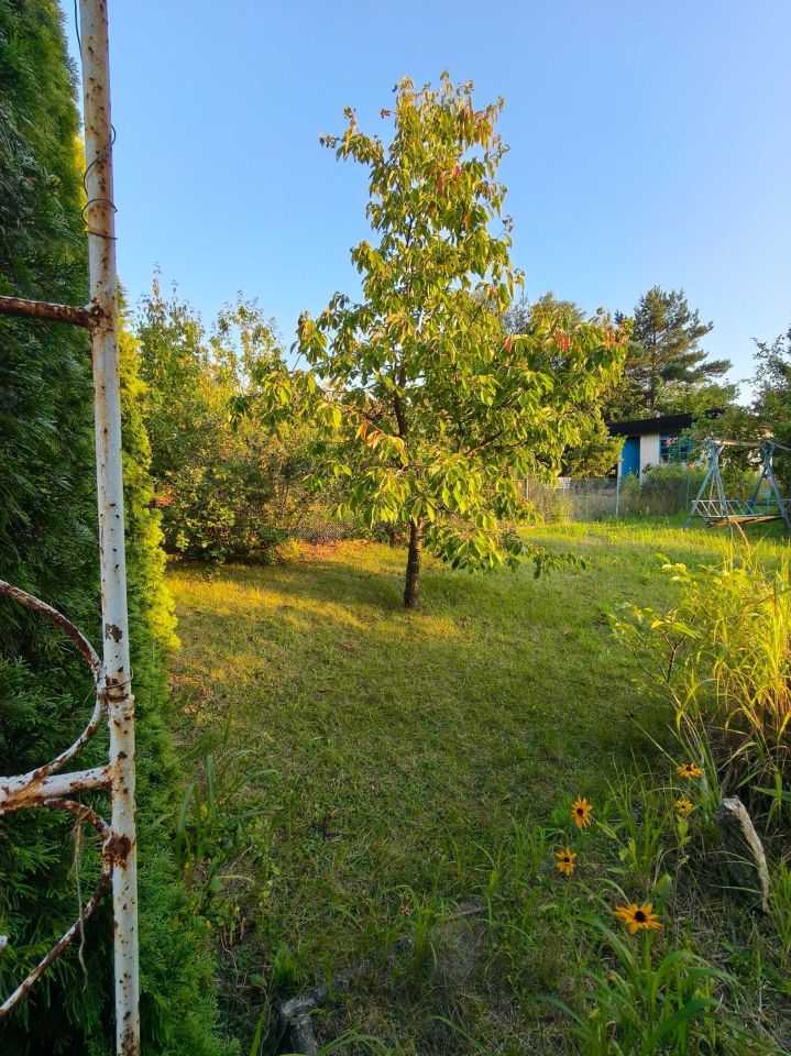Działka rod Częstochowa Kiedrzyn, ul. św. Brata Alberta. Zdjęcie 7