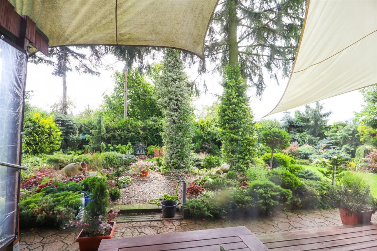 Działka rekreacyjna Trzeciewnica. Zdjęcie 14