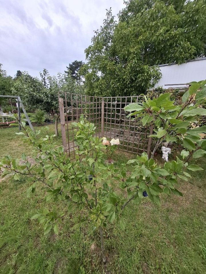 Działka rod Stargard, ul. Spokojna. Zdjęcie 4