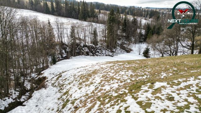 Działka inwestycyjna Dzianisz. Zdjęcie 7