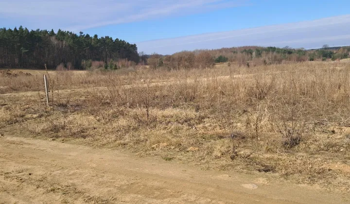 Działka budowlana Kleszczewo, ul. Spacerowa