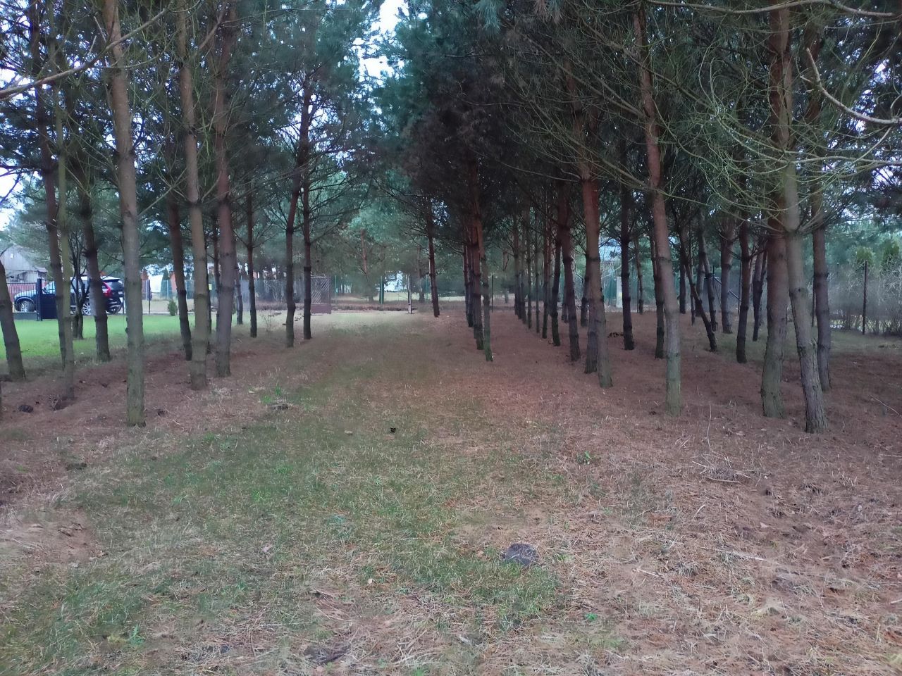 Działka rekreacyjna Lubaty. Zdjęcie 14