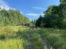 Działka rolno-budowlana Mniów Gajówka, ul. Gajowa. Zdjęcie 4