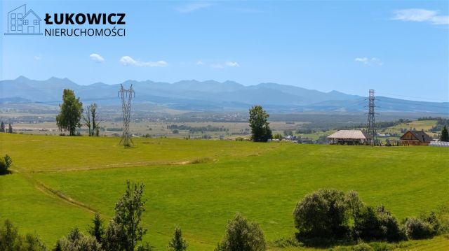 Działka leśna Pieniążkowice. Zdjęcie 6