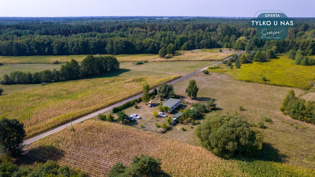 Działka siedliskowa Kiki