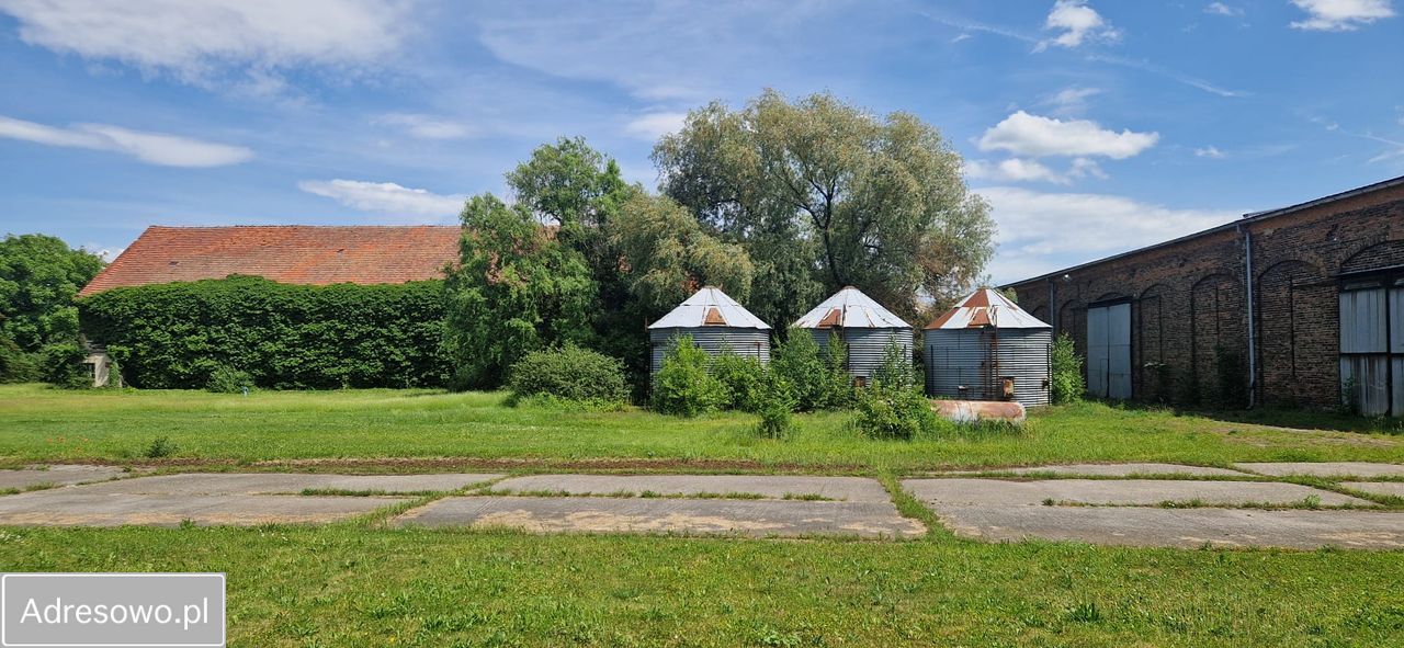 Działka budowlana Mnichowice, ul. Sosnowa. Zdjęcie 8