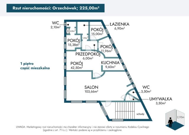 Lokal Orzechówek. Zdjęcie 18