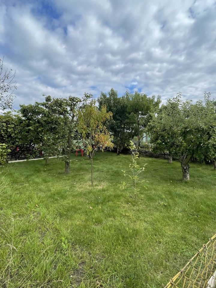 Działka rod Witkowo. Zdjęcie 3